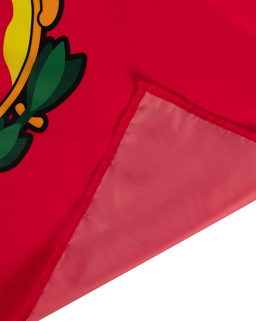 Bandera Escudo (100x70) 2025-2026