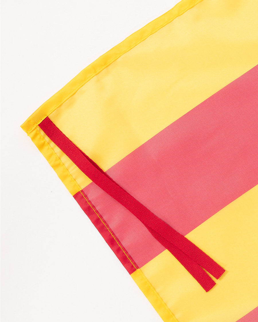 Bandera CGT Cat
