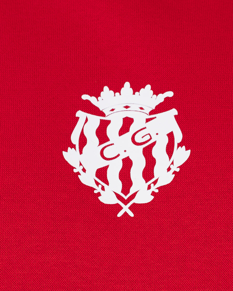 Sudadera Fanswear Escudo Hoodie Niño